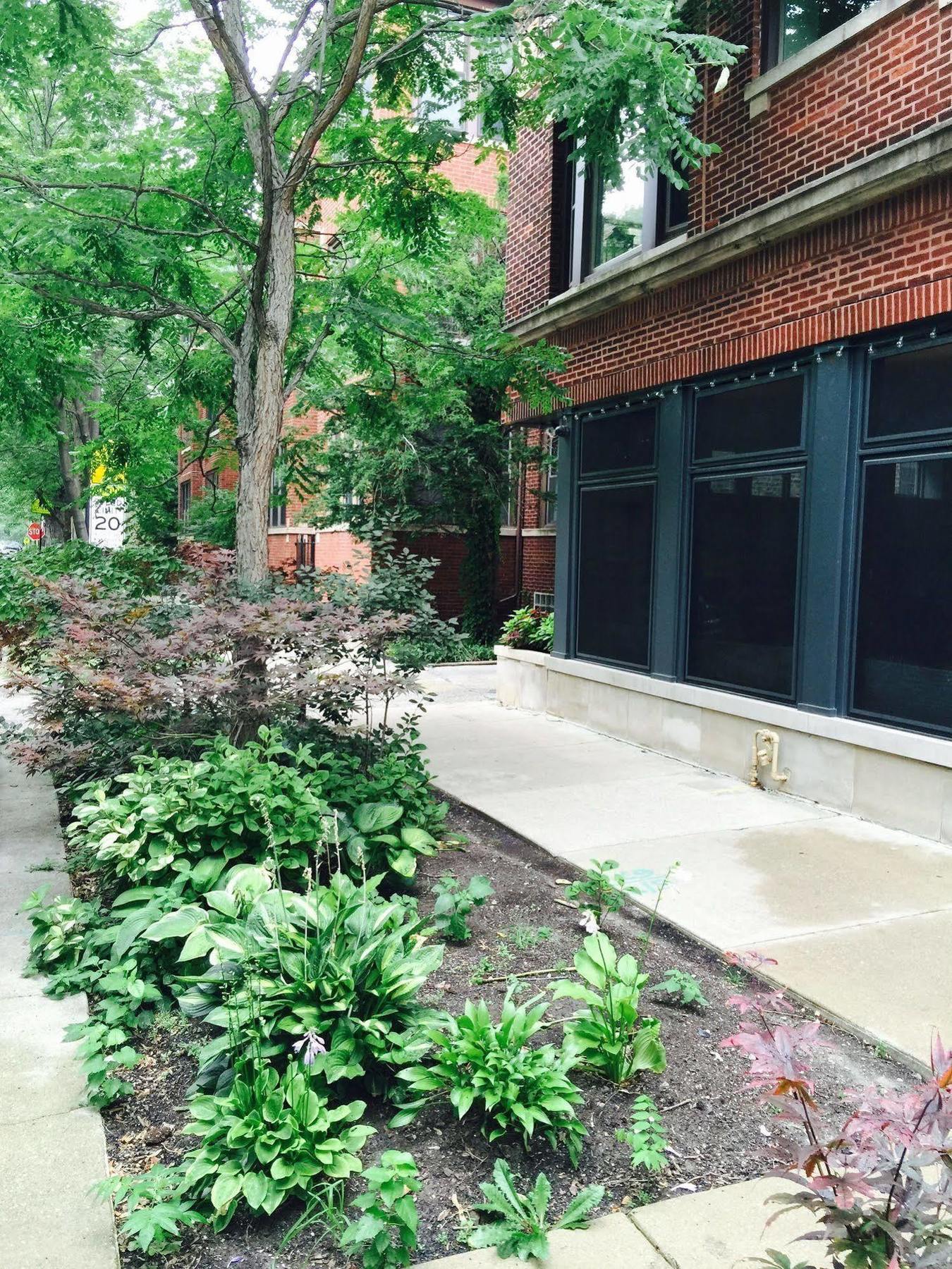 House 5863- Chicago'S Premier Bed And Breakfast المظهر الخارجي الصورة